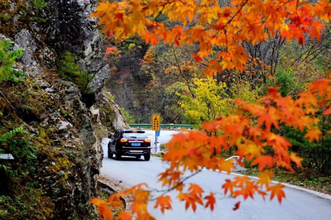 绉嬪ぉ鏉ヤ簡鎴戝湪绛変綘鏈楄,绉嬪ぉ鏉ヤ簡鎴戝湪鍐ぉ绛変綘