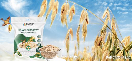 民丰马铃薯种业有限公司,内蒙古民丰种业有限公司