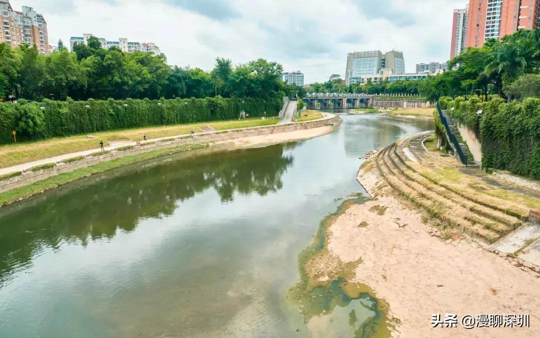 行走深圳歌曲,深圳观澜攻略