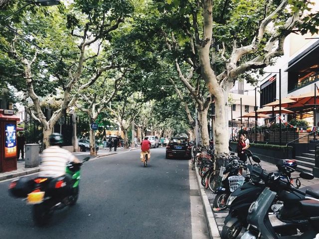 这条网红小马路时髦又有韵味！曾经的“杜公馆”驻扎在此！