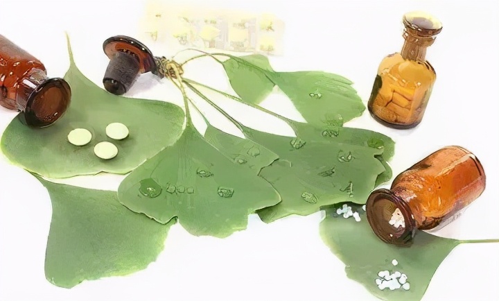 银杏叶虽好，请不要滥用