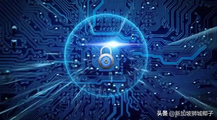 高薪!一部中国热播偶像剧,让新加坡这个专业彻底火了