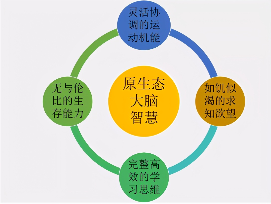 给孩子的人工智能启蒙,儿童人工智能课程