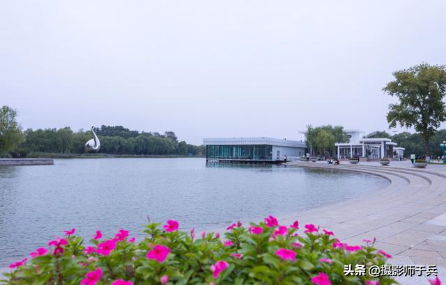 哈尔滨太阳岛美丽的秋色,哈尔滨美丽的太阳岛