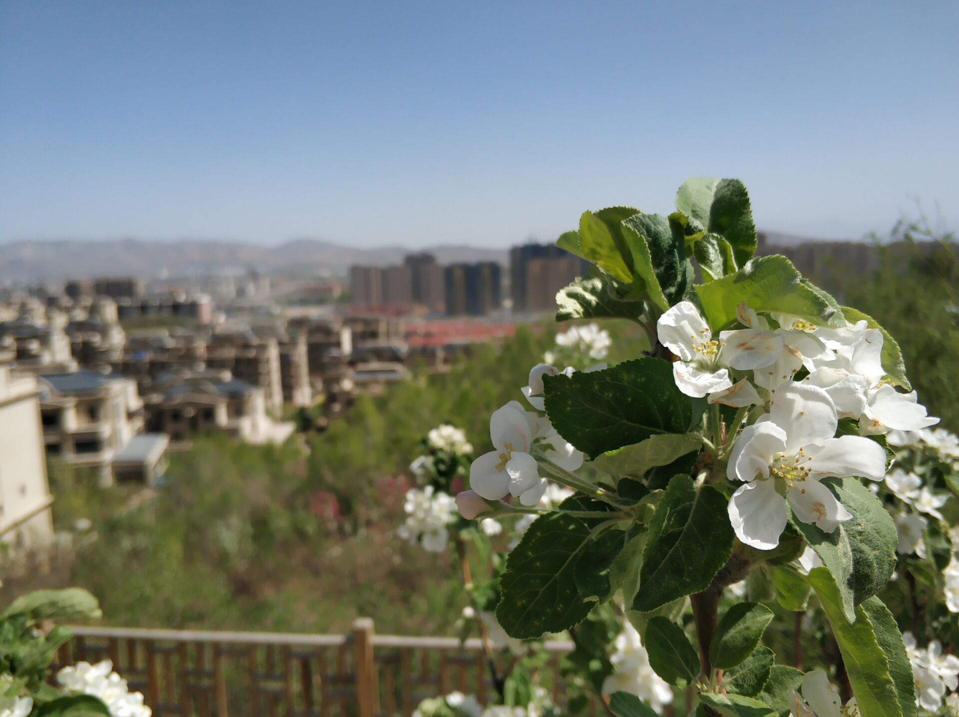 乌鲁木齐居然有这么漂亮的地方,乌鲁木齐周边森林公园在哪里