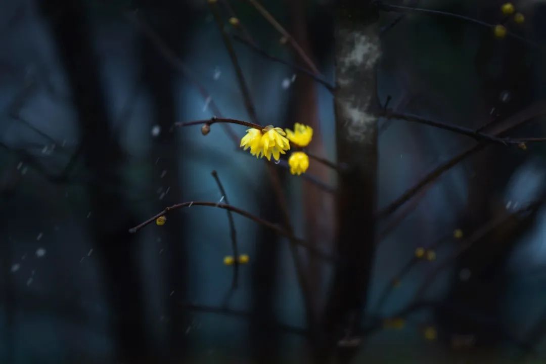 冬季小腿瘙痒是什么原因,冬季皮肤瘙痒症偏方