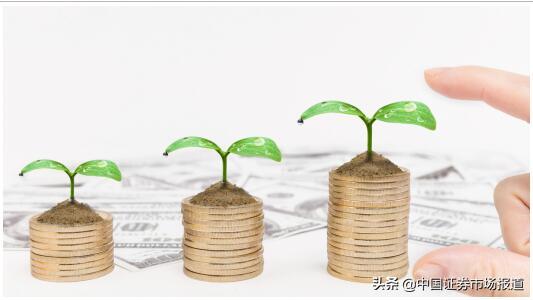 阿里系黑马淘粉吧不畏寒冬,实力上演C位出道