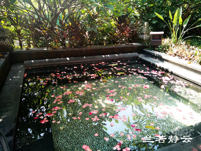 厦门日月谷温泉酒店预订价格,厦门日月谷温泉酒店套餐