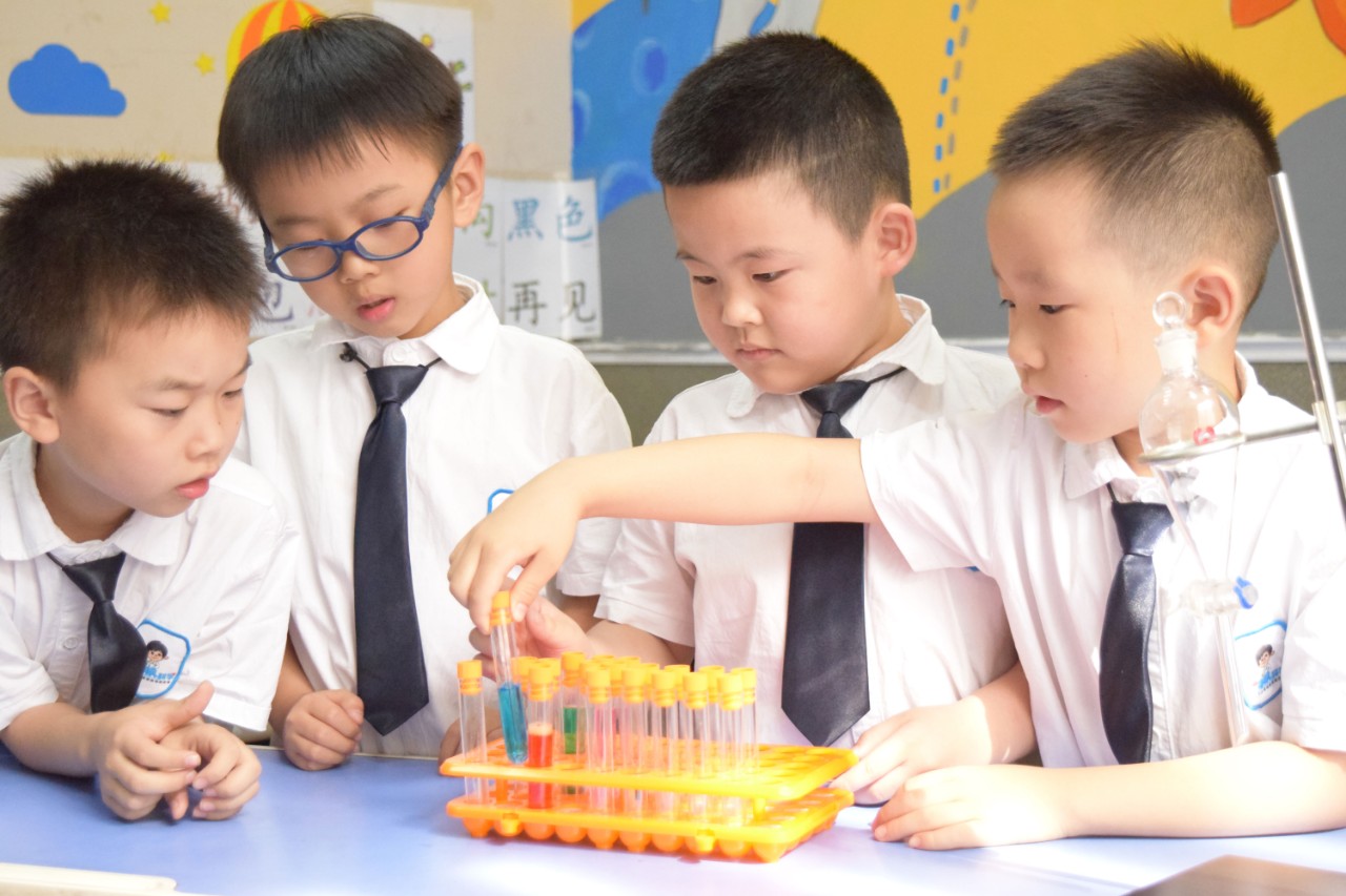 郑州小牛顿科学启蒙,郑州小牛顿幼小衔接加盟
