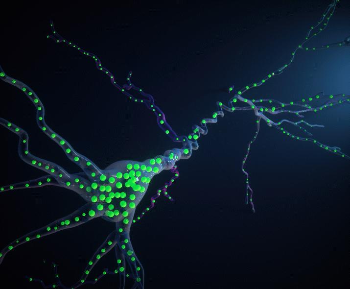 联想记忆的练习与应用,联想法记忆作业
