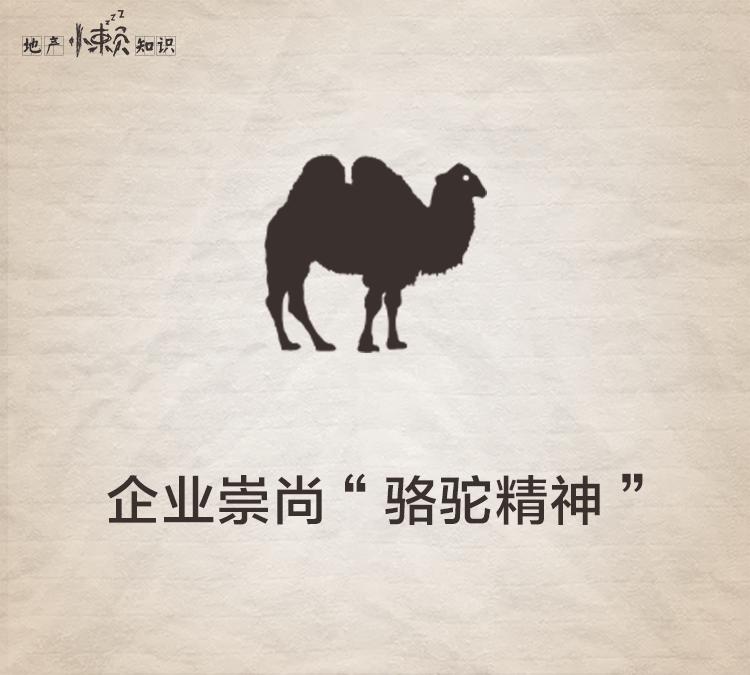 秒懂武汉楼市,中国十强房企新城