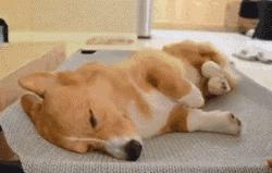 外地人眼中的海南是怎么样的,外地人眼里的海南人穷吗