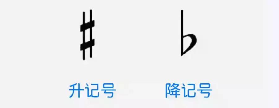 电子琴10秒学会,电子琴教学入门认识琴键