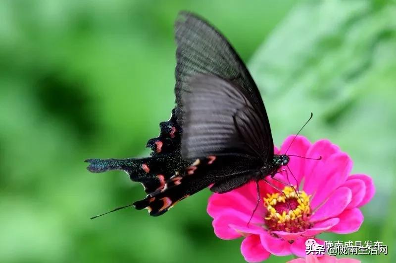 我叫成县，这是我2019年的自拍照