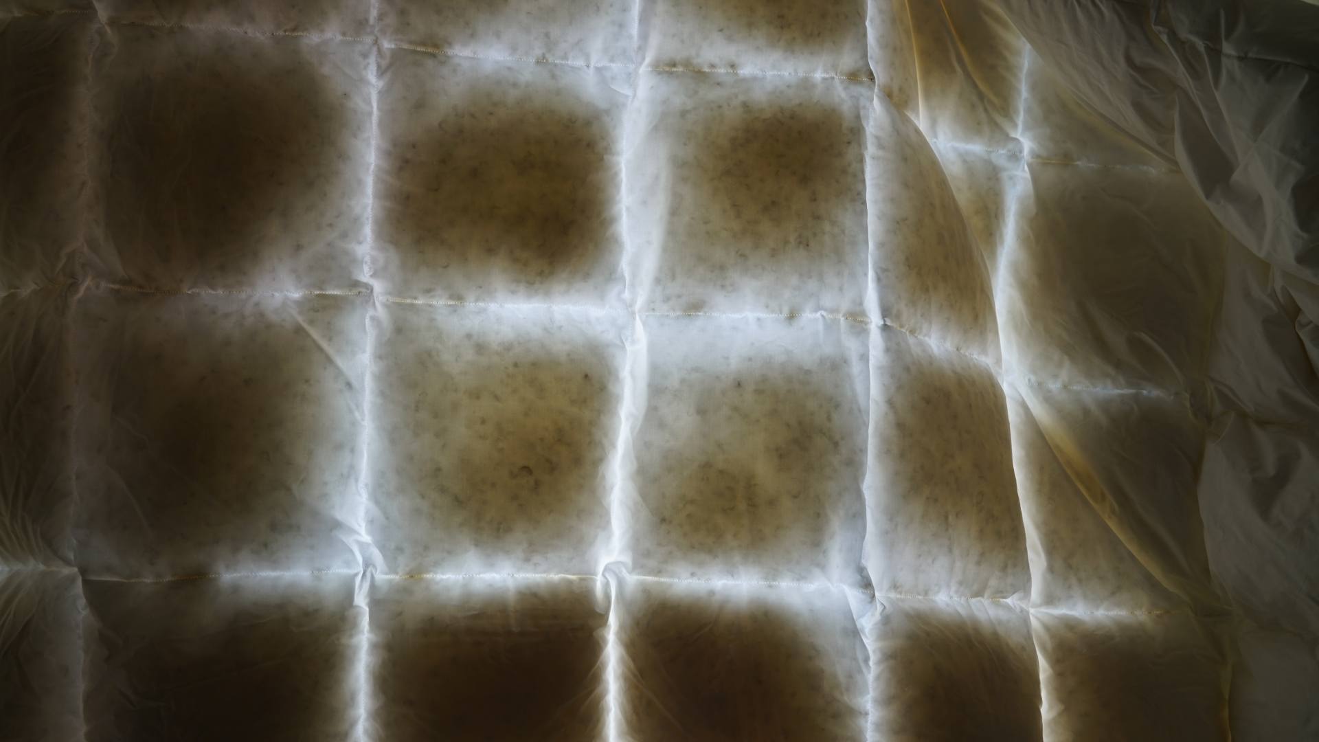 提升幸福感的10件家居好物,秋冬提升幸福感必备清单