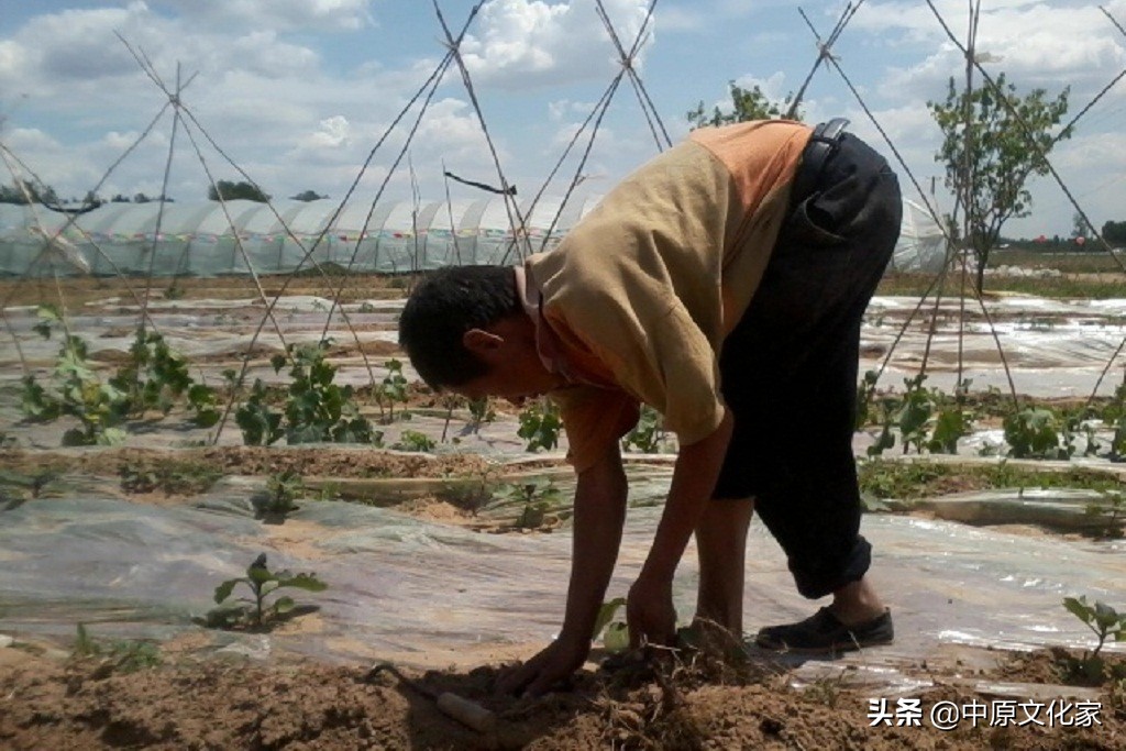 俗话说头无油脚无汗,头无脑油脚无汗有什么说法