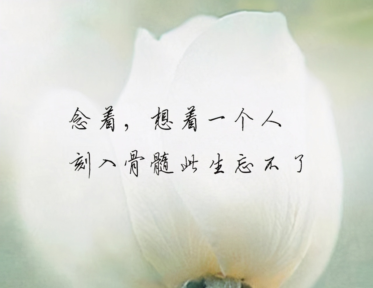 致爱过的你:“我喜欢现在的自己,怀念过去的我们”