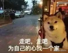 小苍的图片,小苍颜值巅峰照片