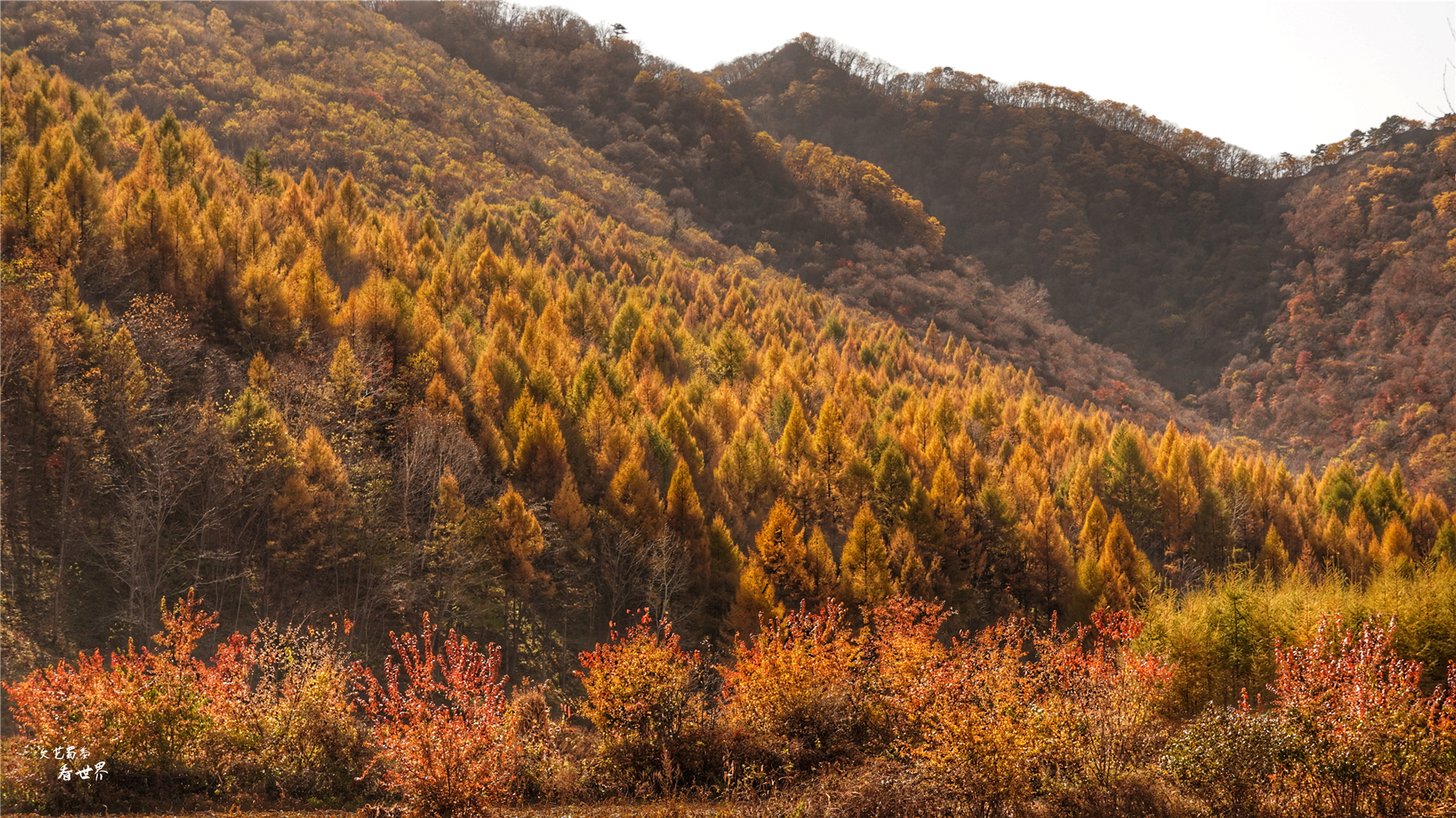 本溪关门山看枫叶最佳游览路线,本溪红叶层林尽染自驾游攻略