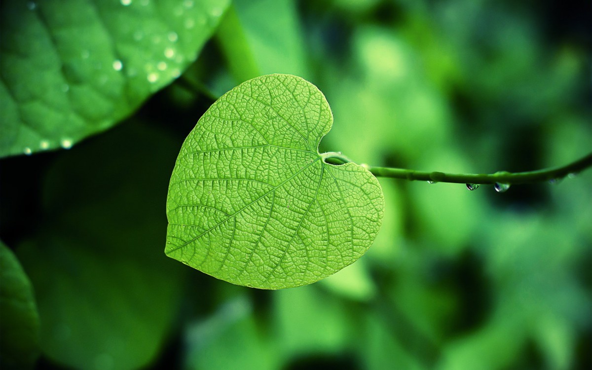 贴吧引流技术分享有详细操作步骤,贴吧顶贴技术好学吗
