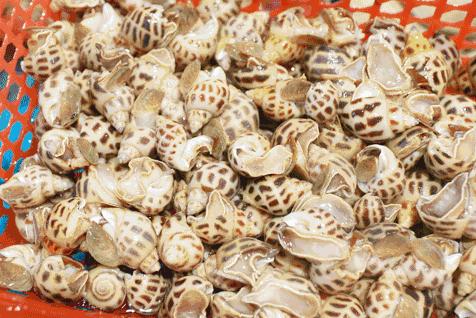 启东江海澜湾高端度假酒店,启东滨海高端度假酒店