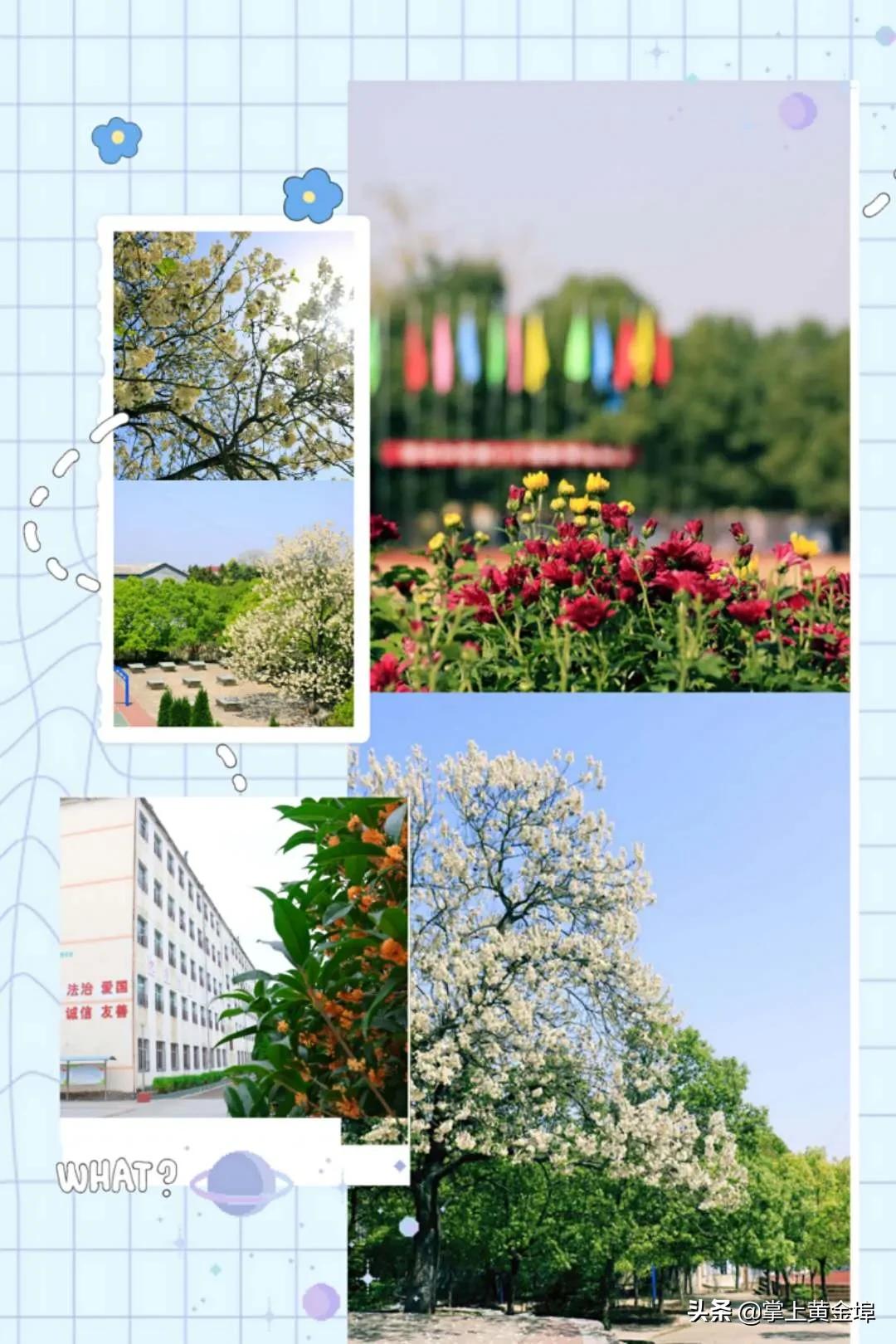 黄金埠有望改名的大学,梅港黄金埠学校