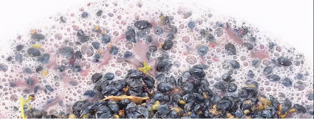 为什么不建议喝自酿酒,为什么不建议自己蒸馏酒