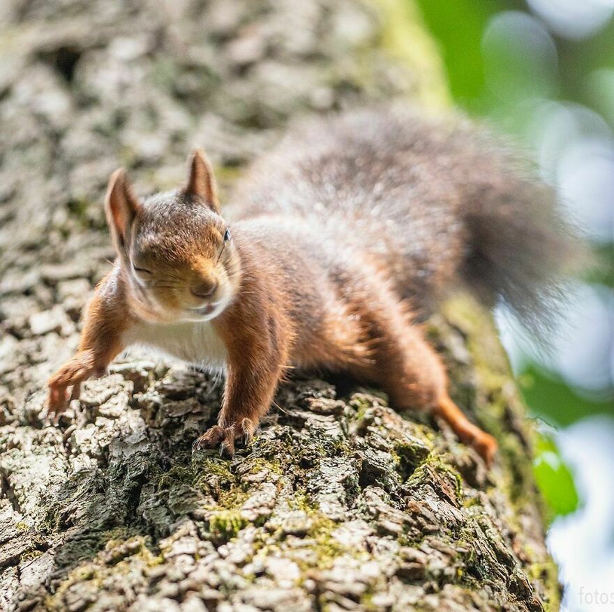他花了29年拍摄到了美丽瞬间,他花8年拍下深海珍稀生物