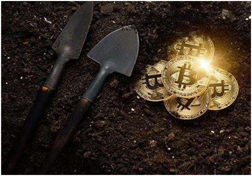 新手小白电脑入门显卡,如何选购适合的电脑显卡