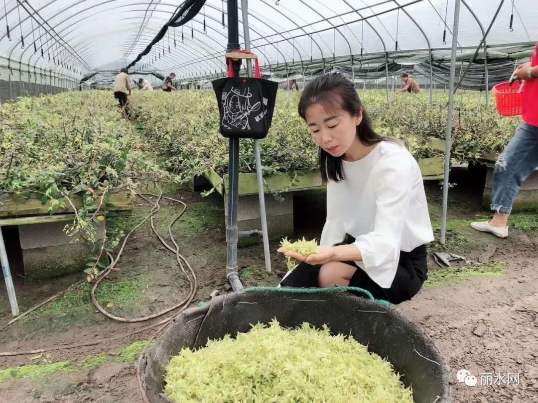 年销400多万!丽水这位独臂女子,赚钱靠的是啥?