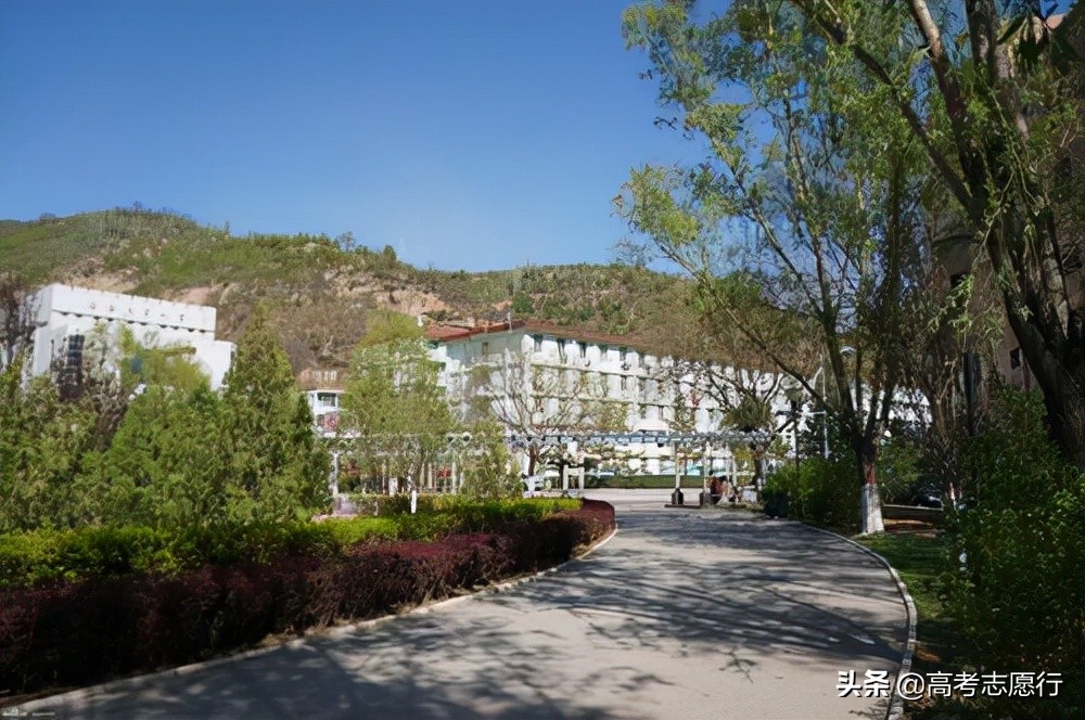 临床医学专业各高校分数线,临床医学性价比高的大学500分左右