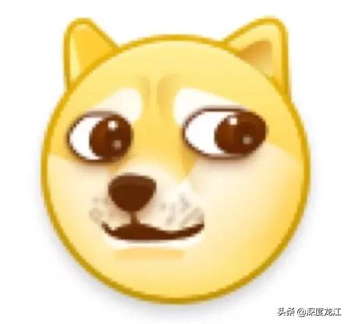 鍥藉簡鑺傚搱灏旀花,鍥藉簡鑺備腑绉嬭妭鍒颁簡