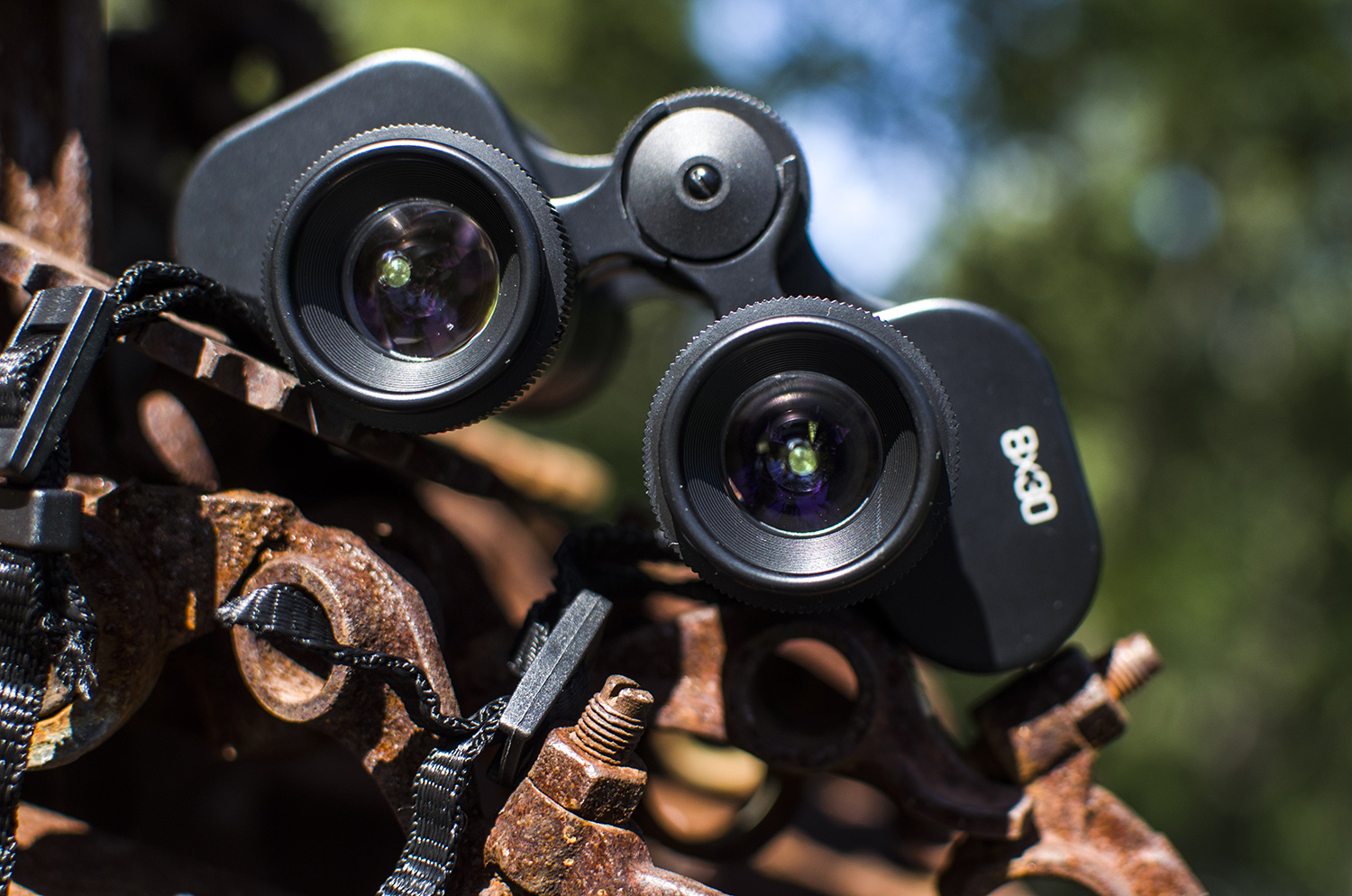 星特朗天文望远镜1100效果,星特朗望远镜4mm非球面目镜