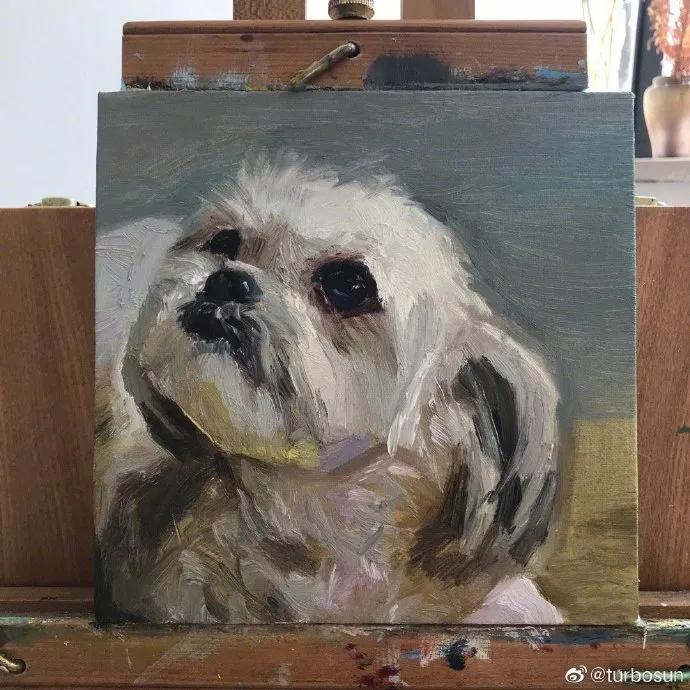 负债央视新闻,央视报道负债