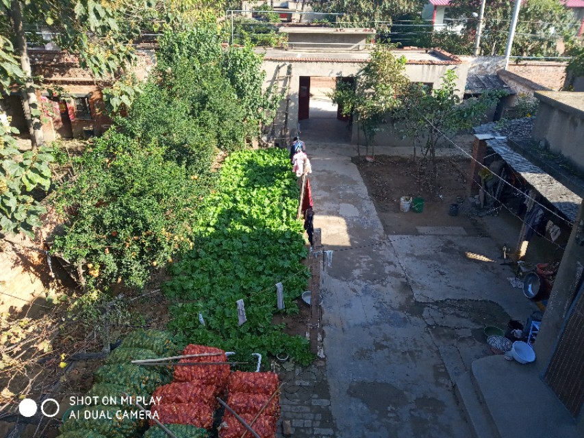 难忘的乡愁老家的味道,难忘的农村老家图片