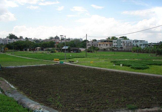 去香港当洗碗工一个月多少钱,香港洗碗工真实收入