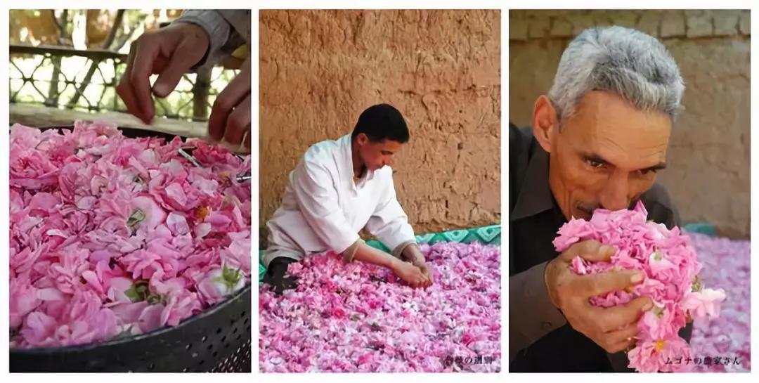 丹泽欧雅,丹泽欧雅富勒烯多肽焕颜面膜