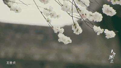 宰相故里,父子尚书!徽州人到底有多牛?不是七品以上官员,连造桥都没资格