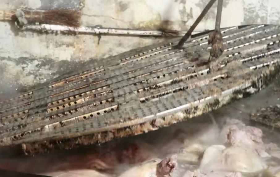 24岁小伙通宵卖羊肉串月入4万,山东大爷煮羊杂50年一天只卖300