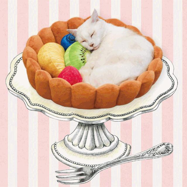 吸一口就爽到!让900万猫奴直呼过瘾的文创店,我真的服了