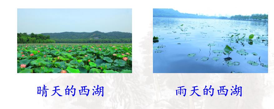 共赏西湖风光,三年级人教版语文饮湖上初晴后雨