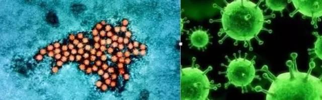 发现手足口病要及时就医吗,注意这7点咽炎远离你