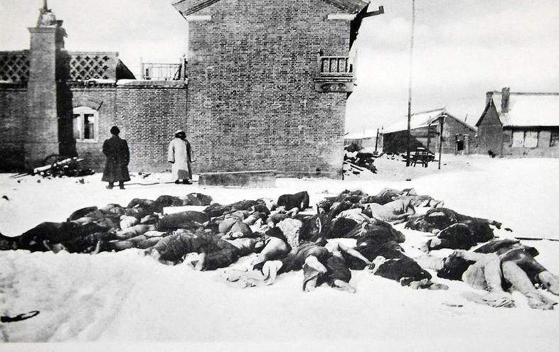 影响历史最深远的疾病,一只跳蚤改写人类史