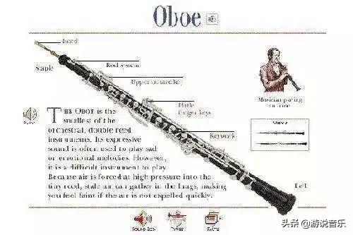 木管乐器四重奏,小孩子推荐木管乐器