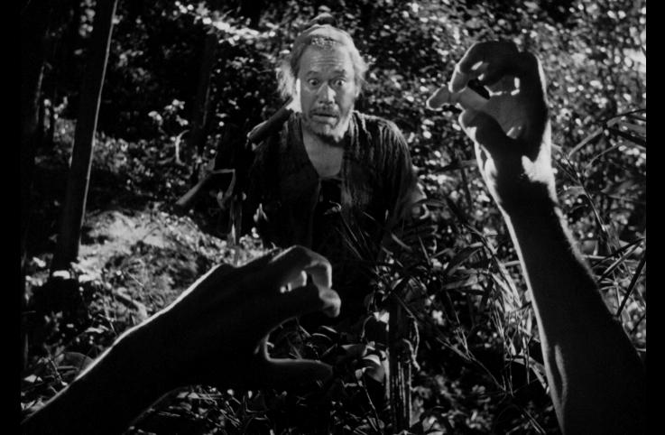 黑泽明的罗生门的真相到底是什么,谈谈黑泽明罗生门及其电影概念