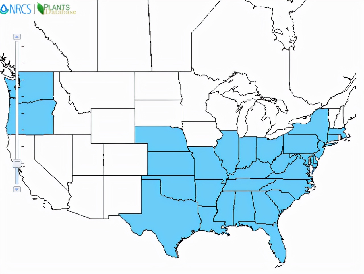 葛粉搭配什么最好吃,粉葛搭配什么食材煲汤好