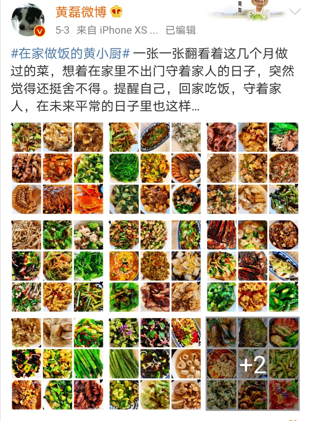 肥胖摆拍不专业，被编剧六六*制抵**，黄磊为何坚定地做“黄小厨”？