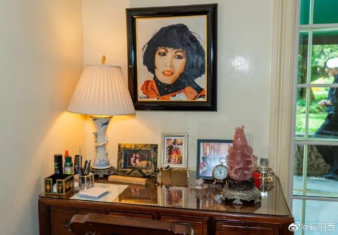 羽西年轻时的照片,十年前羽西