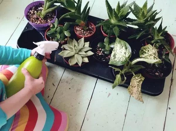 7-12月宝宝蒙氏亲子游戏,100个经典蒙氏小游戏总结