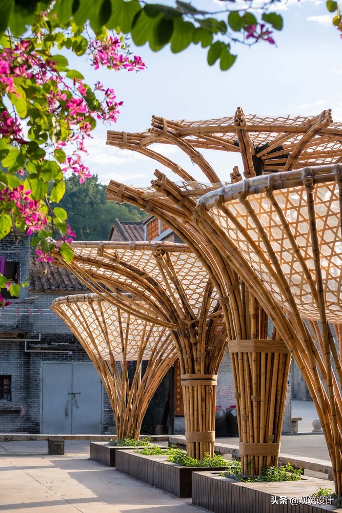 长岐镇球场在哪里,长岐村室内球场